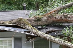 House tree damaged House tree damaged